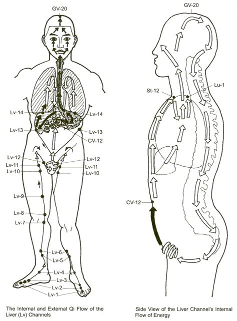 liver meridian spiritual meaning.